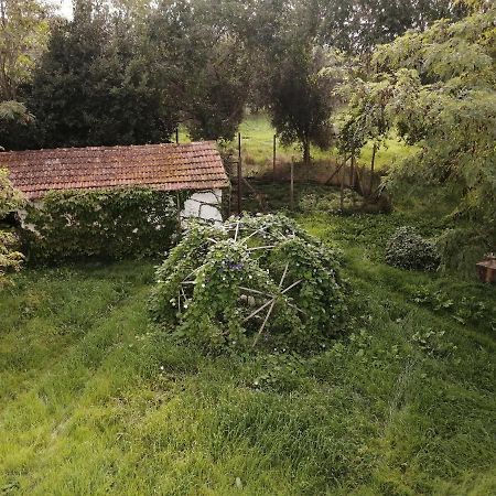 Da Pino ξενώνας Montemerano Εξωτερικό φωτογραφία
