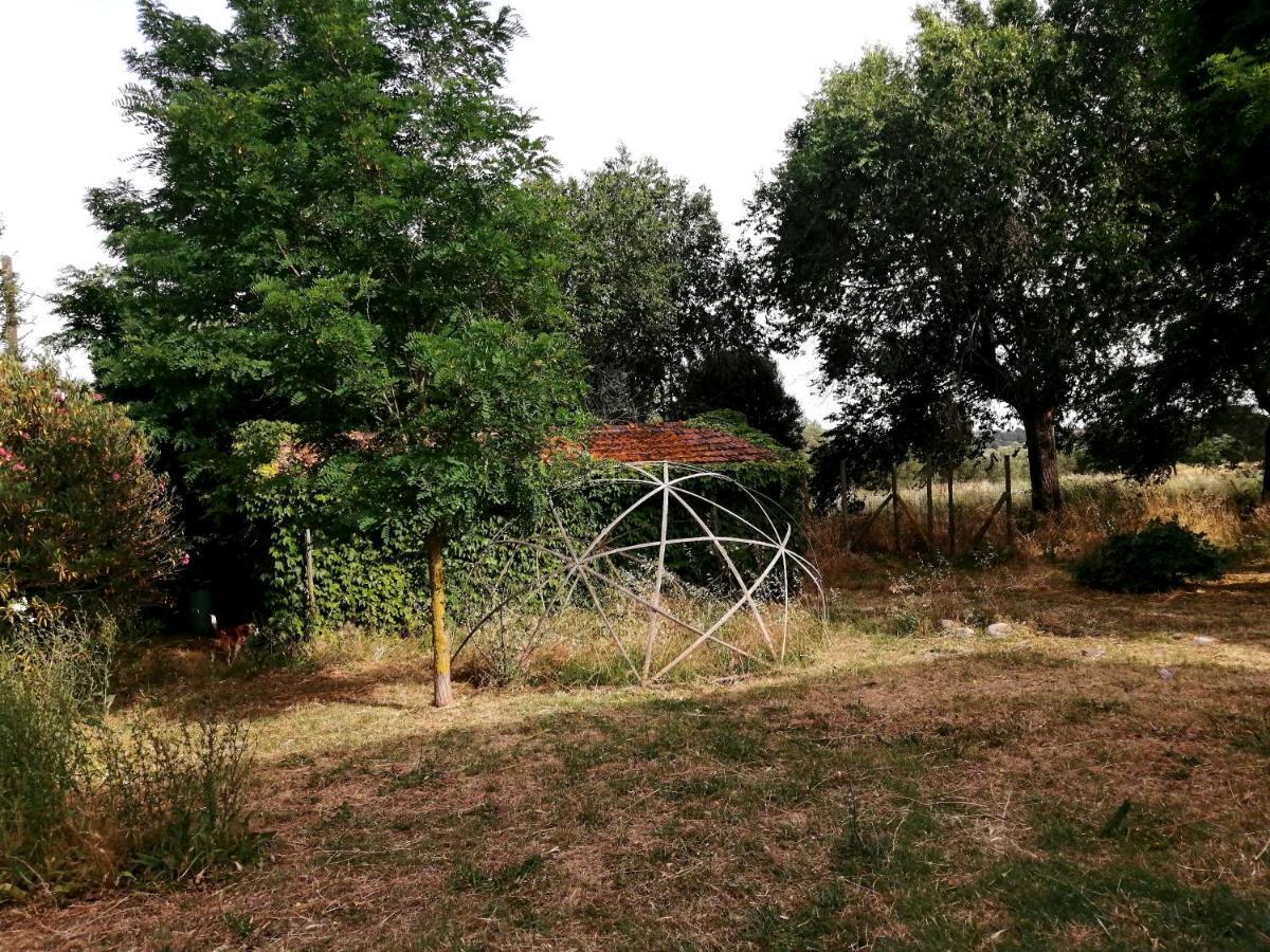 Da Pino ξενώνας Montemerano Εξωτερικό φωτογραφία