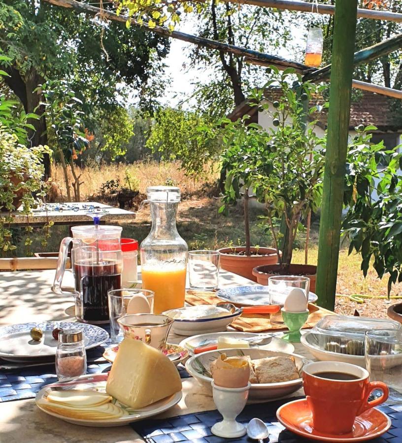 Da Pino ξενώνας Montemerano Εξωτερικό φωτογραφία