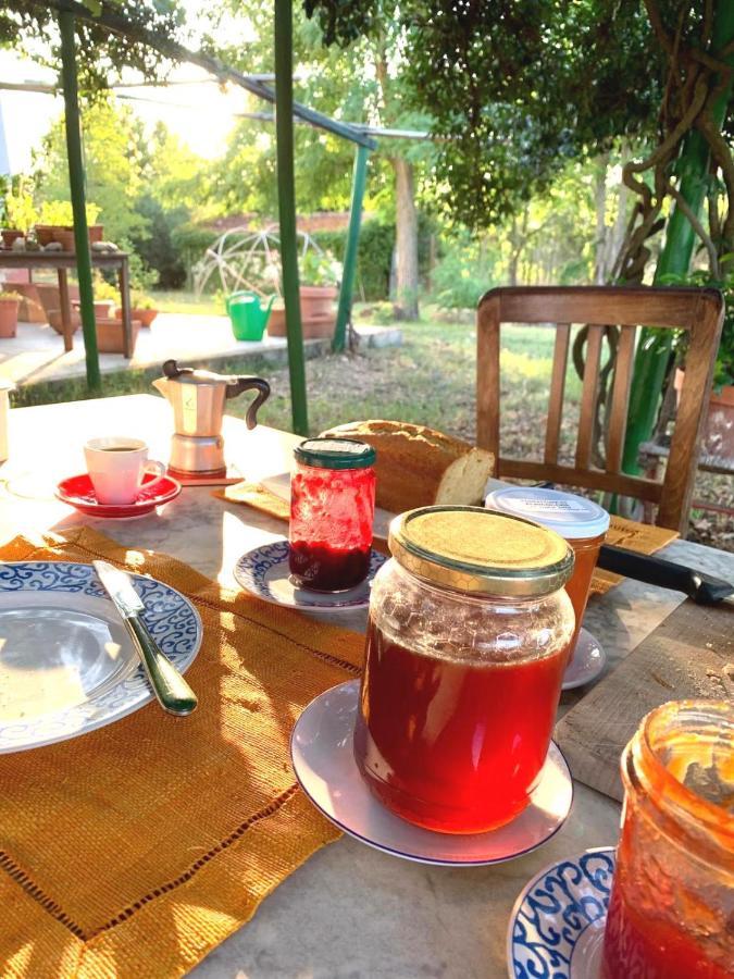 Da Pino ξενώνας Montemerano Εξωτερικό φωτογραφία