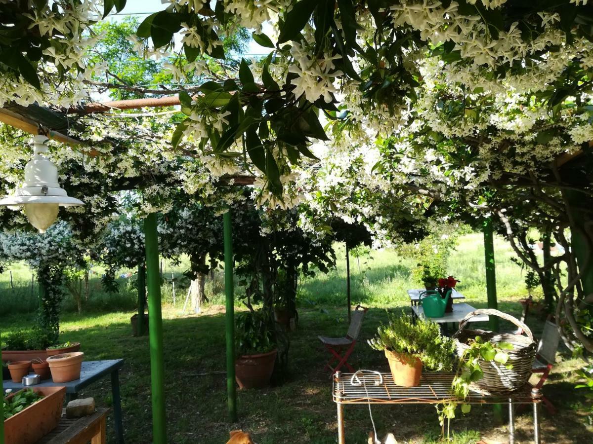 Da Pino ξενώνας Montemerano Εξωτερικό φωτογραφία